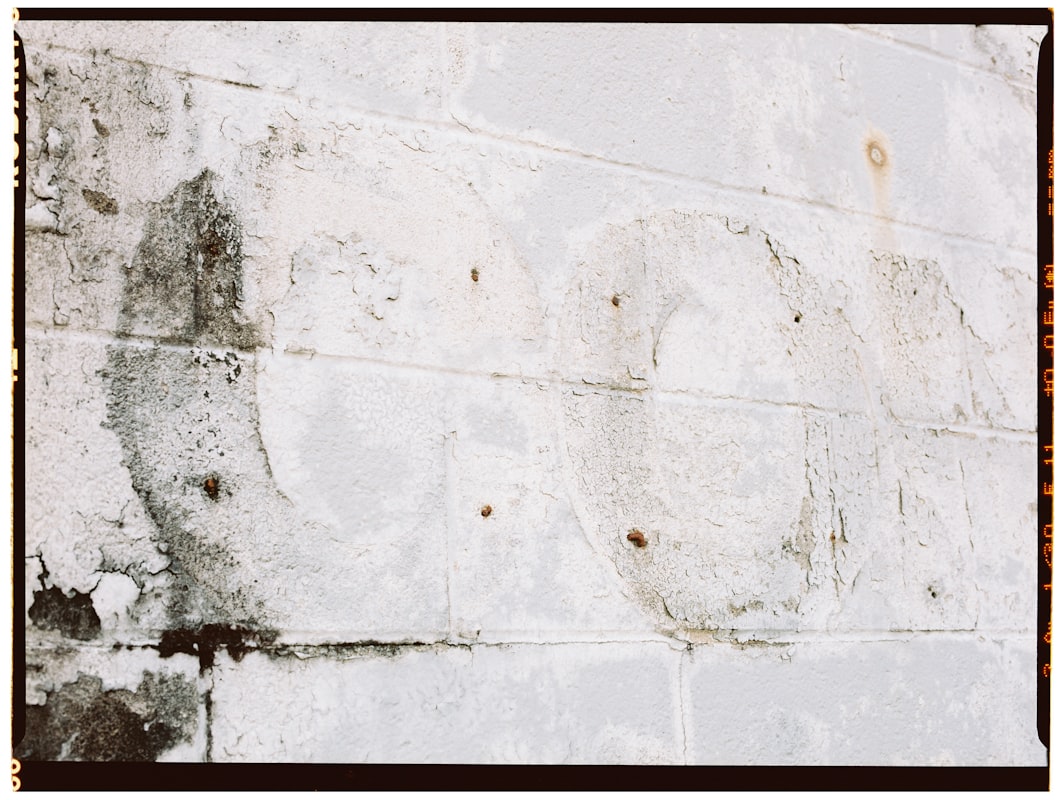 Basement Water Removal service in Homestead, FL